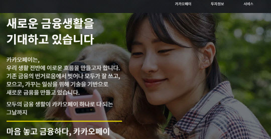 카카오페이 홈페이지 캡쳐